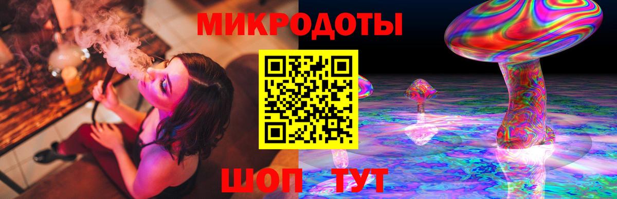Псилоцибиновые грибы Psilocybe Щёлково