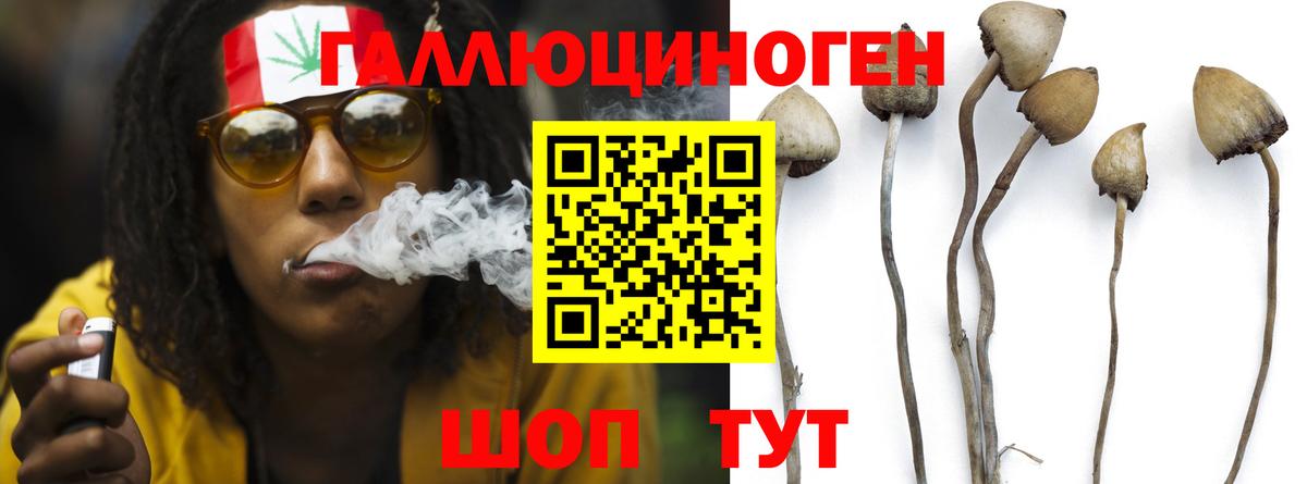 Щёлково  Галлюциногенные грибы GOLDEN TEACHER  Вход с VPN 